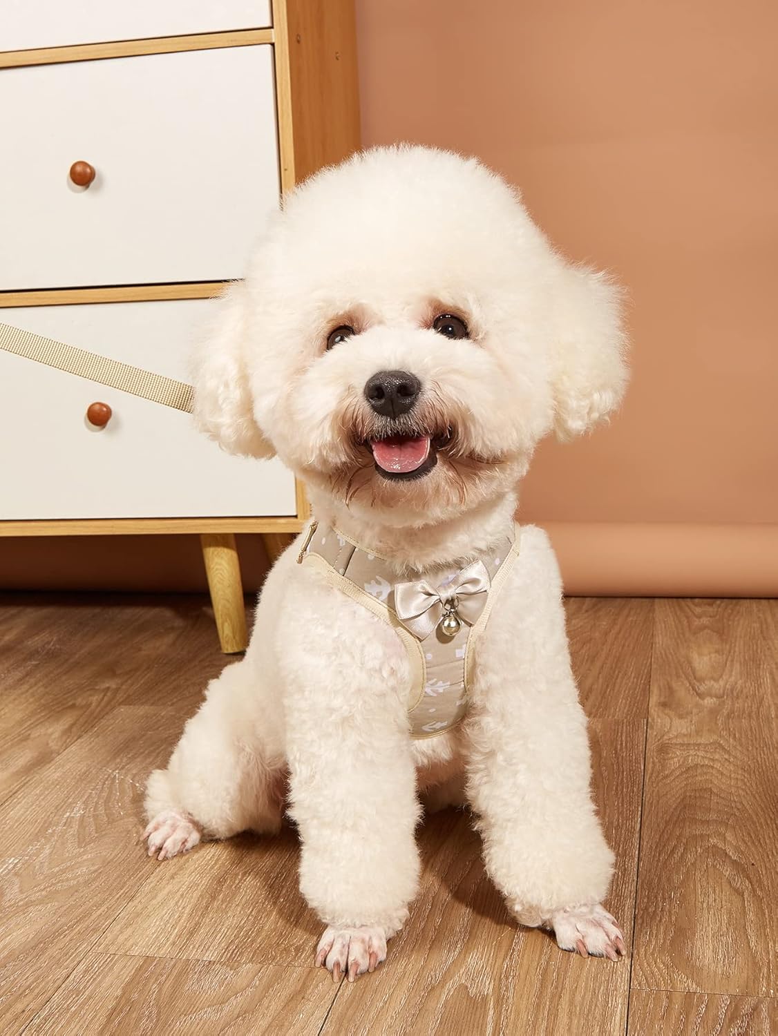 QWINEE Lindo arnés para perro chaleco con correa, diseño de lazo de campana, arnés para cachorros y gatos, juego de correa para perros pequeños y