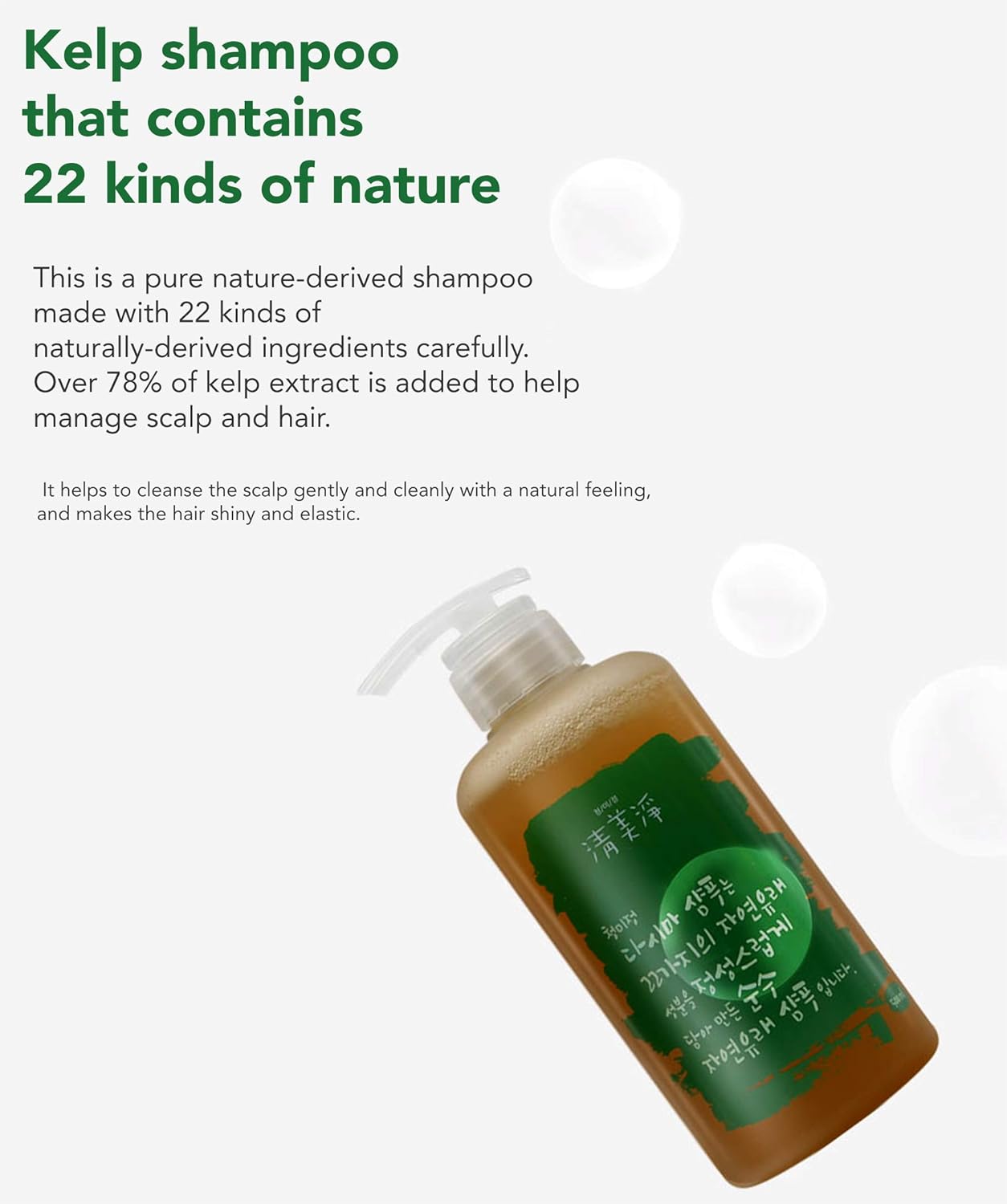 ChungMiJung Kelp Champú para cuero cabelludo pequeño para la caspa, 16.9 fl oz, orgánico 18 ingredientes de la naturaleza para pieles sensibles,