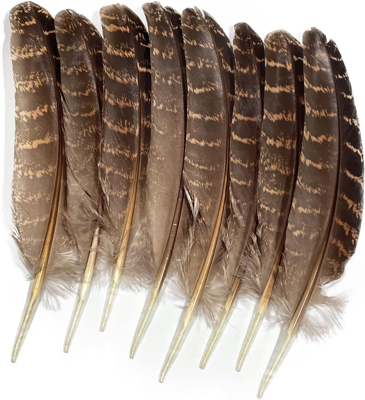 Zamplinka Plumas naturales de pavo de 5 a 7 pulgadas para manualidades de fiesta, decoración de bricolaje por paquete de 10
