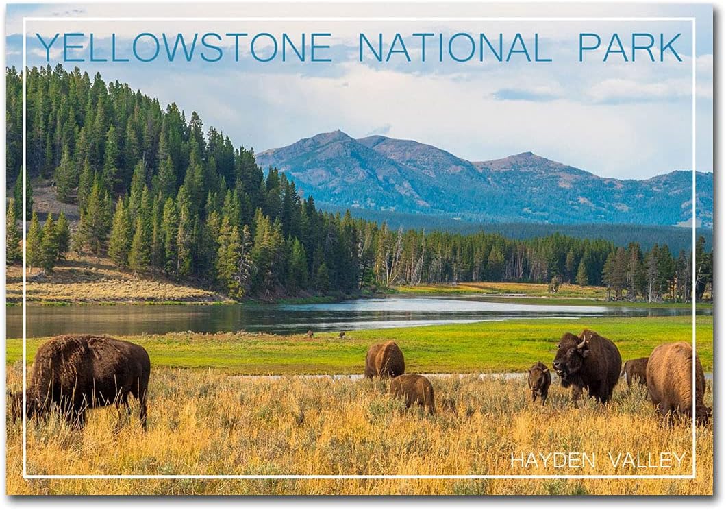 Hayden Valley Yellowstone National Park – Imán para nevera (2.5 x 3.5 pulgadas)