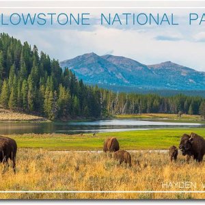 Hayden Valley Yellowstone National Park – Imán para nevera (2.5 x 3.5 pulgadas) Hayden Valley Yellowstone National Park – Imán para nevera (2.5 x 3.5 pulgadas)