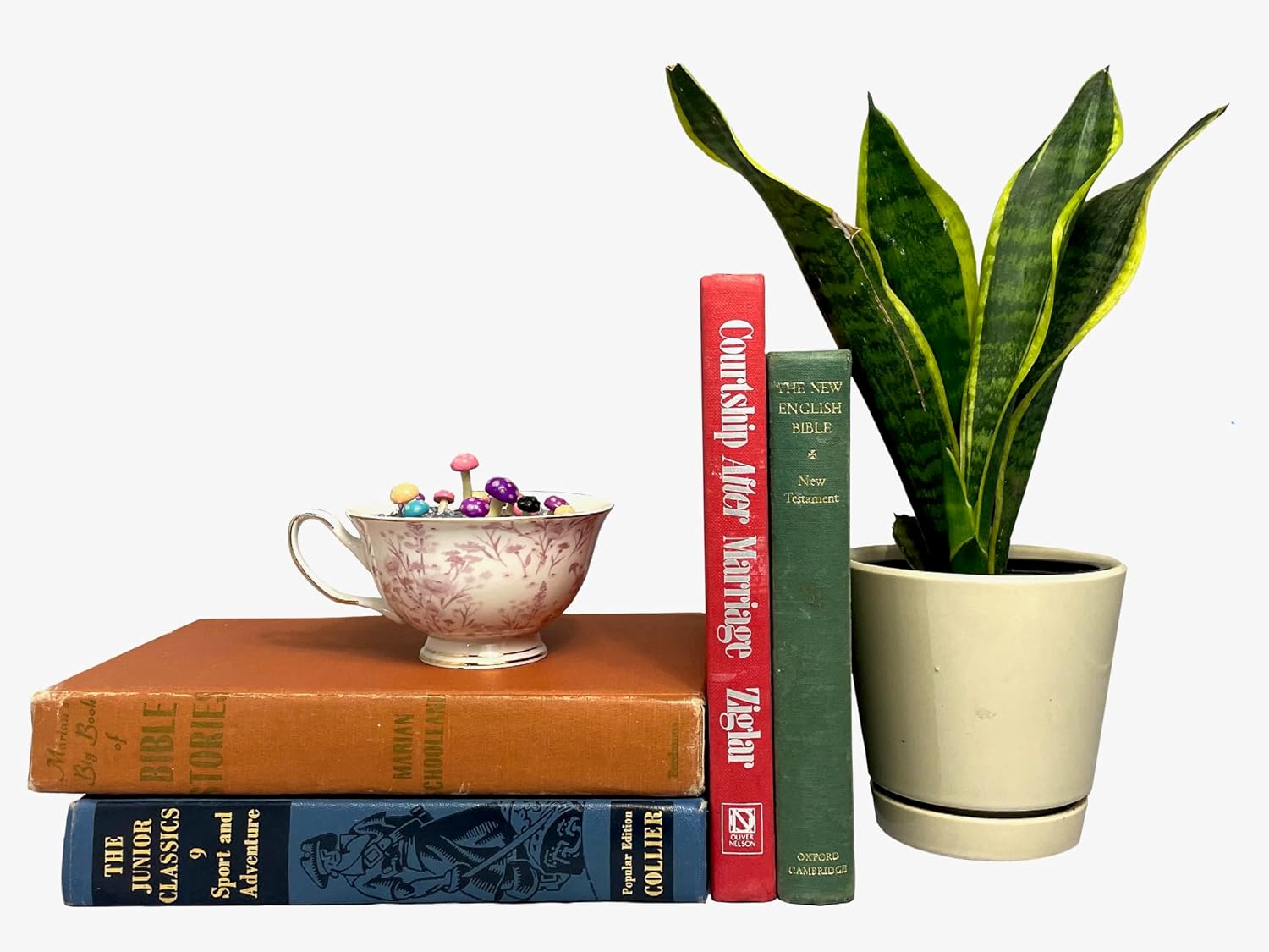 Juego de 12 libros antiguos de tapa dura, colores mezclados, libros de tapa dura real para decoración del hogar, paquete a granel de tapas duras