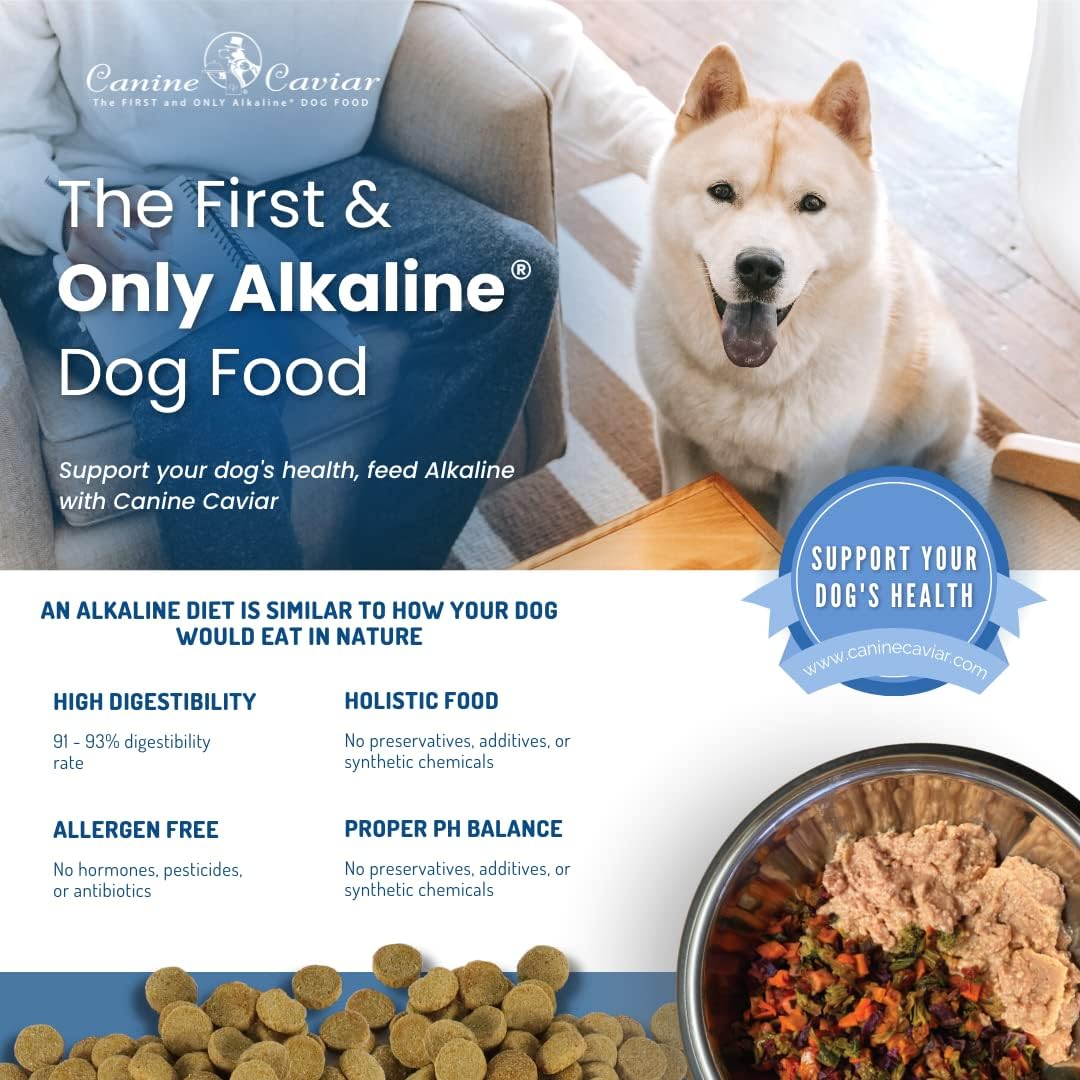 Canine Caviar Wild Ocean – Alimento holístico alcalino para perros con ingredientes limitados, para todas las etapas de la vida, sin gluten, comida