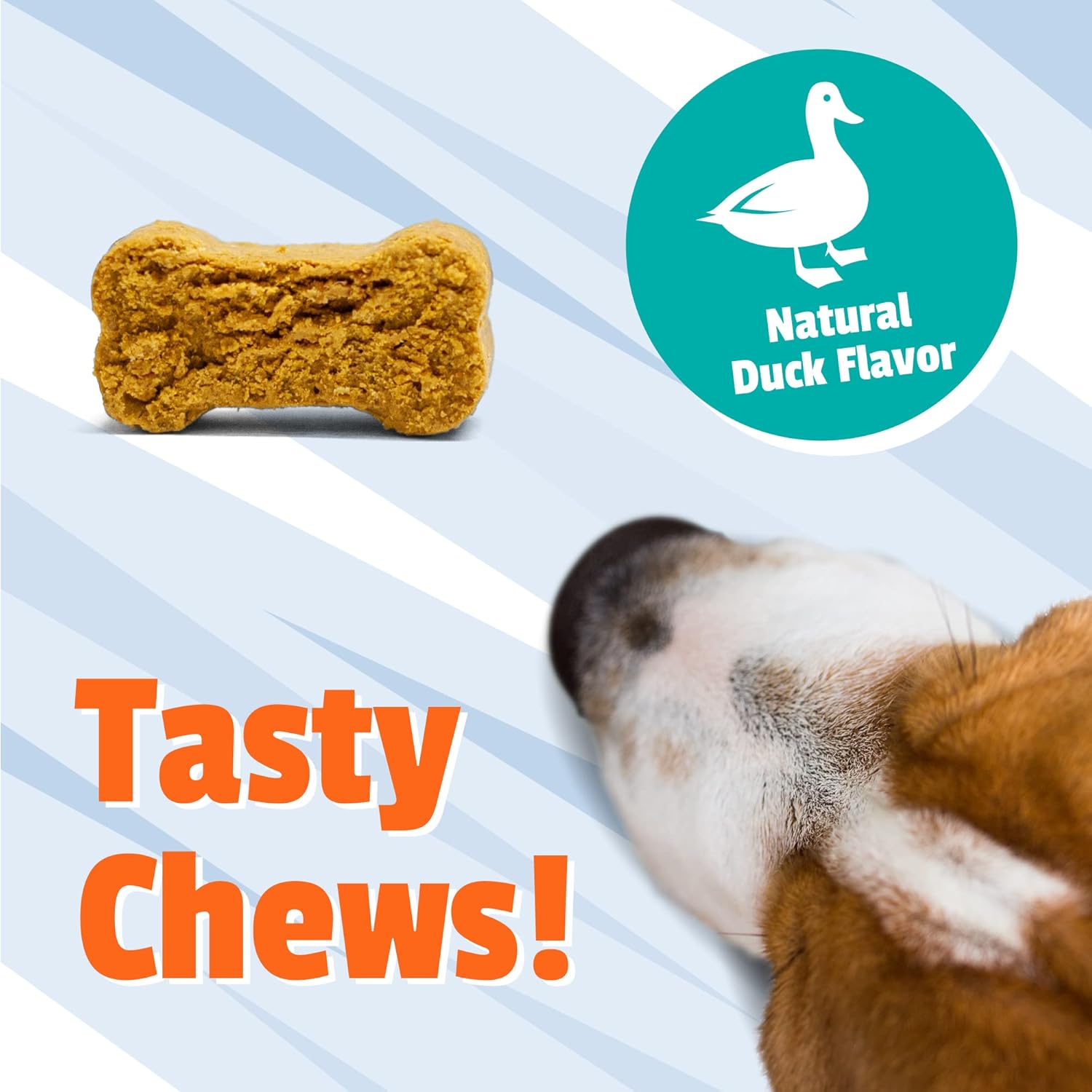 Pet Naturals Allergy Plus Suplemento calmante para perros, masticable suave, sabor a pato, 60 unidades