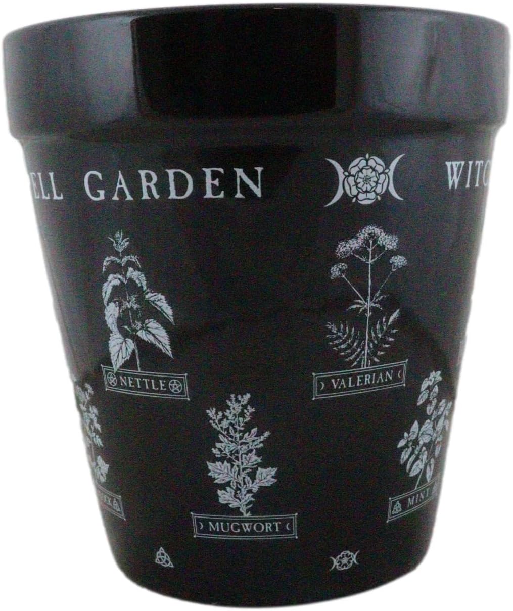 Ebros Gift Wicca Witchcraft – Maceta gótica de cerámica negra mágica, maceta floral de alquimia oculta, maceta de alquimia, pulgar, verde,
