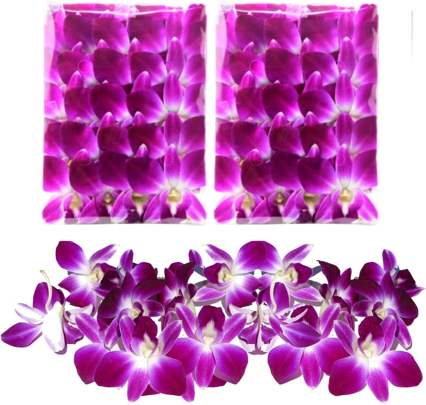 Miami Fresh Orchid Flower OrchidClub USA Sunne Tropical Loose Bloom DIY Lei, decoración de alimentos y bebidas (50 morado)