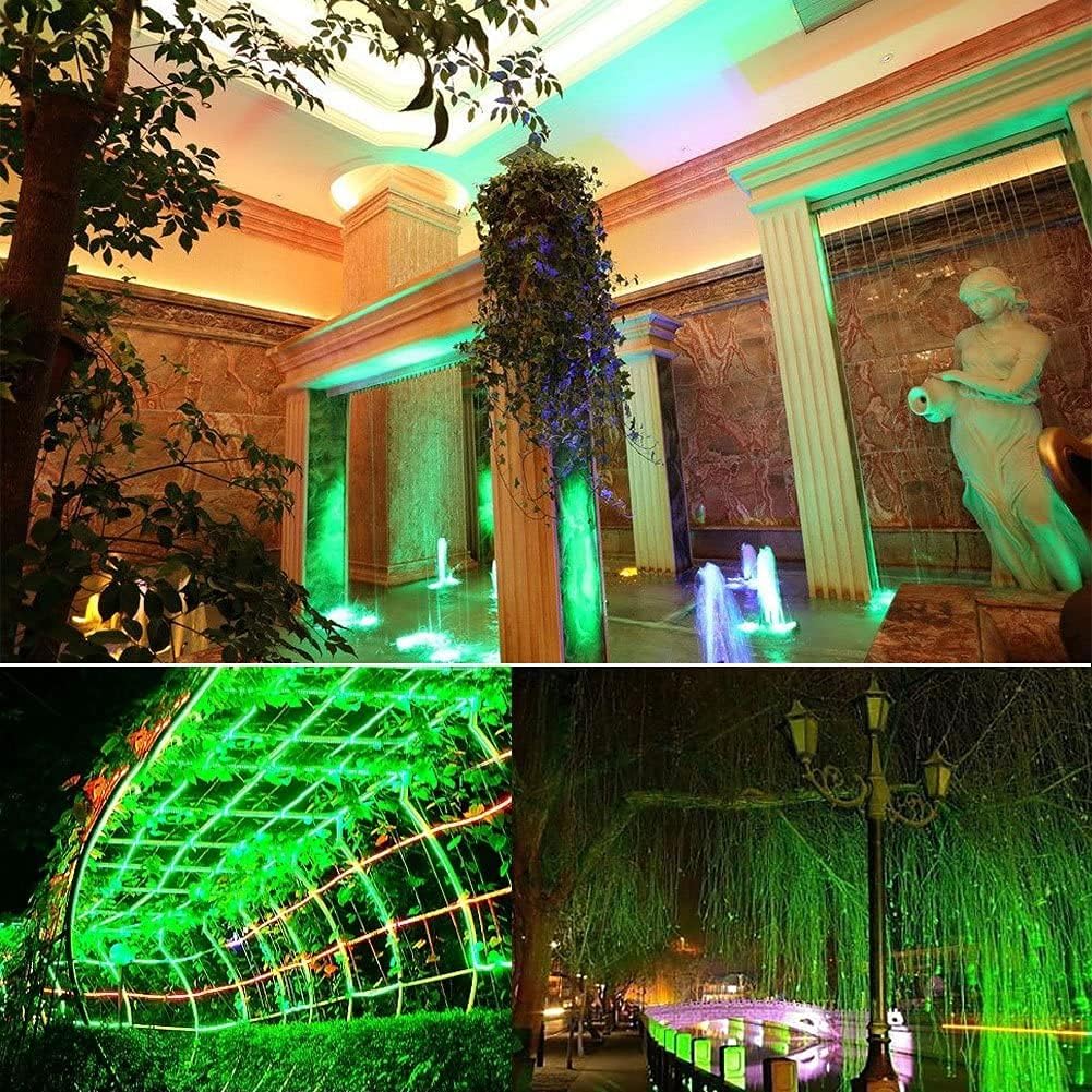 XUNATA Tira de luces LED verdes, tira de luces LED de neón flexible para exteriores, DC 12V 6.56 pies2M 2835 120LEDsM barra de luz de silicona