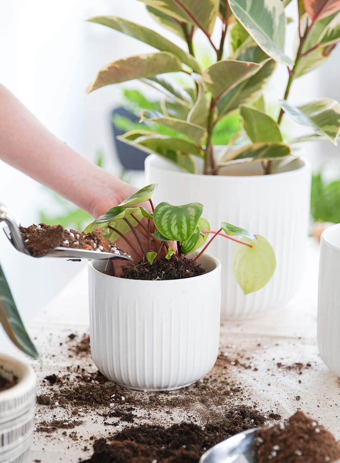LE TAUCI Macetas de cerámica, juego de 3 macetas para plantas de interior, macetas de 8.3 + 6.9 + 5.7 pulgadas con agujeros de drenaje, macetas