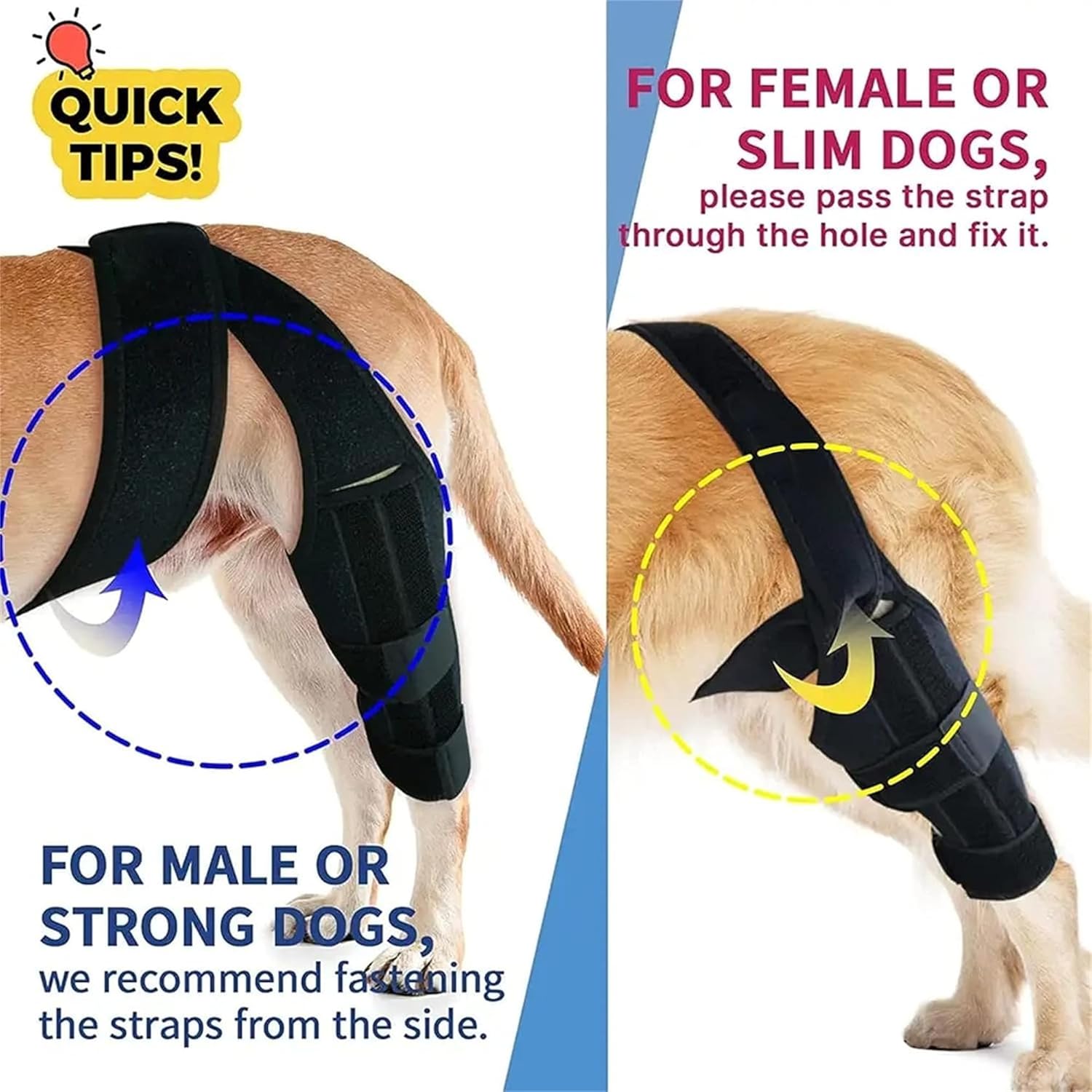 HVSun Rodillera para perro para pierna trasera y trasera, soporte para perro ACL CCL Lesión del ligamento cruzado dolor articular y dolor muscular