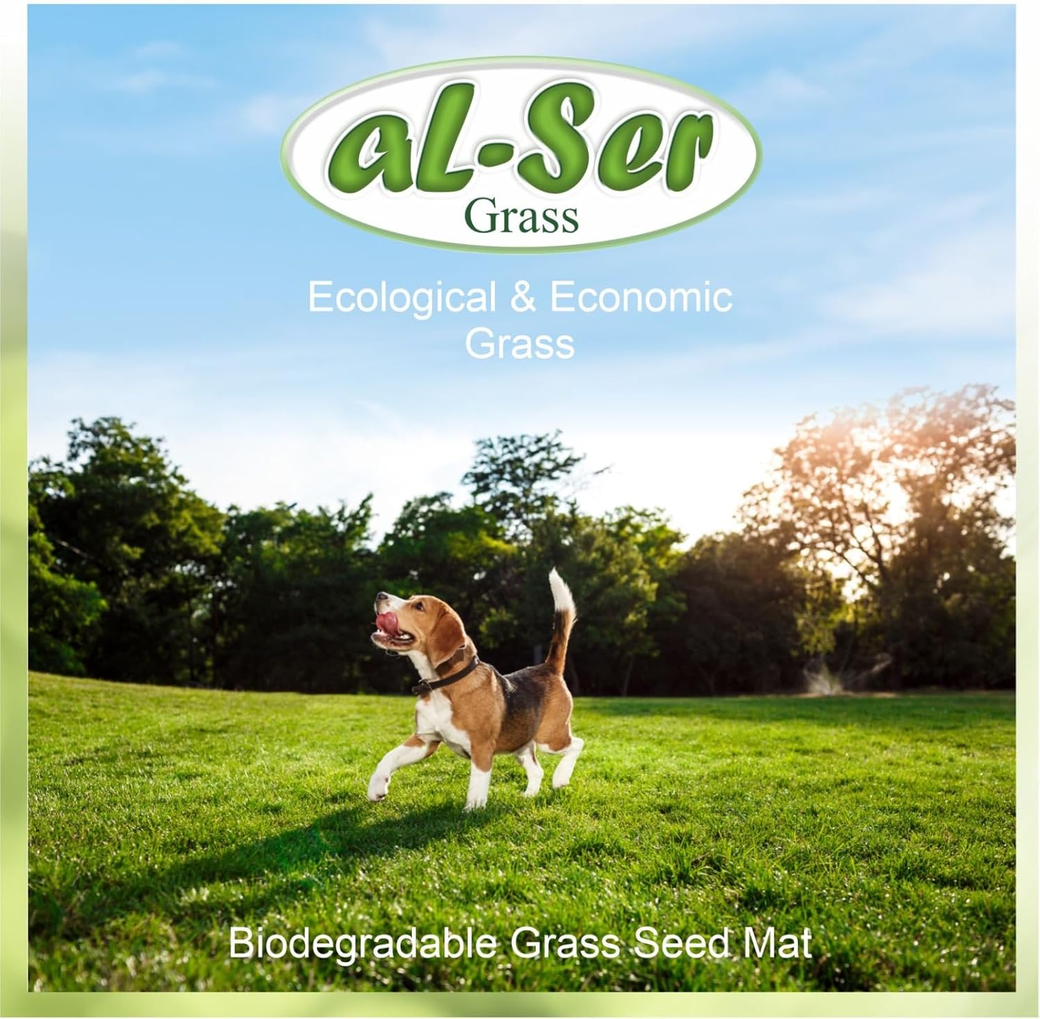 AL-SER – Tapete de semillas de césped biodegradable. Manta de semillas. Alfombra de semillas. Tómalo, colócalo en el suelo y riégalo. (10.76 pies