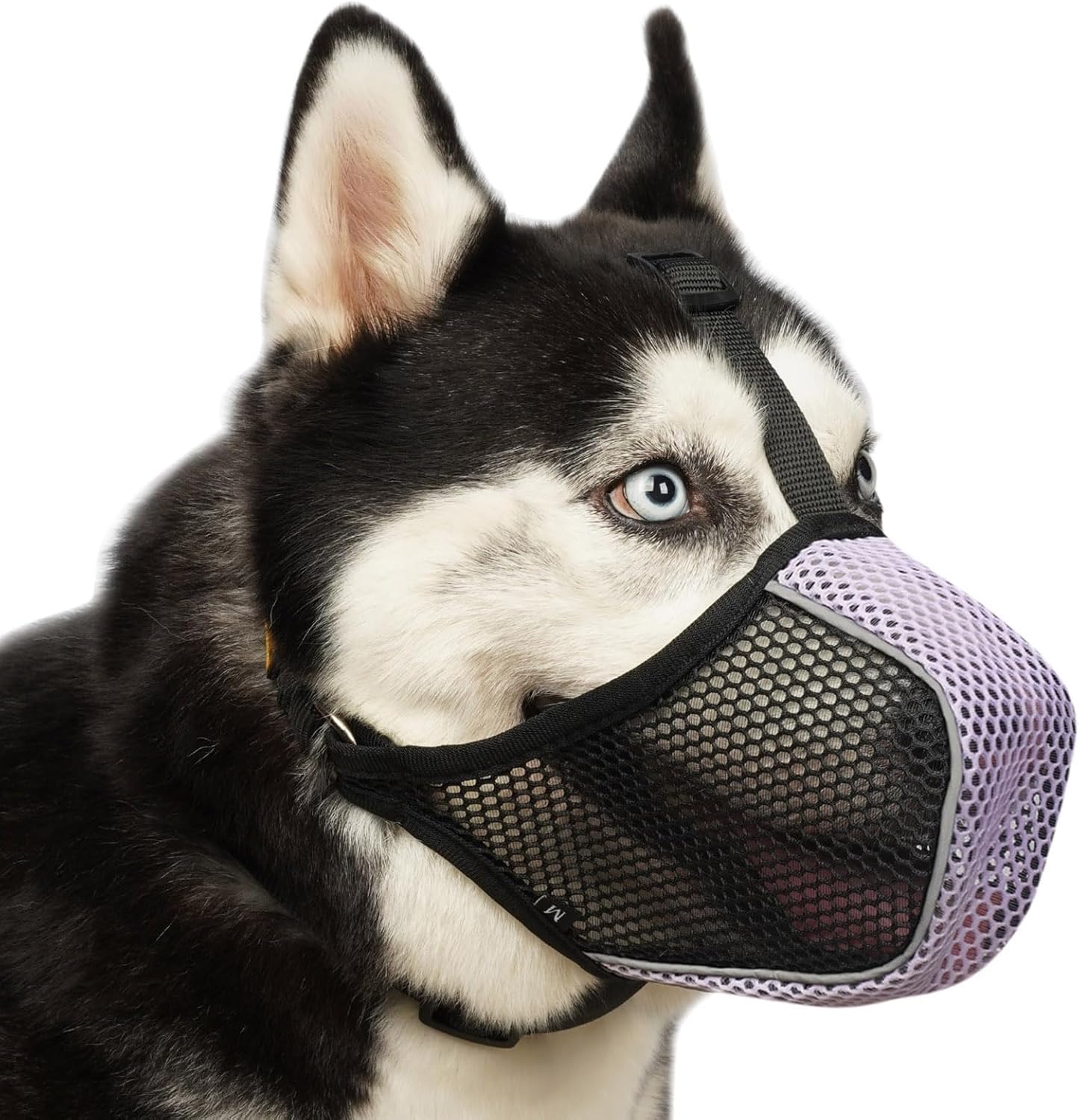 Mayerzon Bozal para perro, bozal suave de malla para perros grandes, medianos y pequeños, para carro, aseo y morder, bozal reflectante y