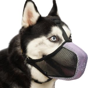 Mayerzon Bozal para perro, bozal suave de malla para perros grandes, medianos y pequeños, para carro, aseo y morder, bozal reflectante y Mayerzon Bozal para perro, bozal suave de malla para perros grandes, medianos y pequeños, para carro, aseo y morder, bozal reflectante y