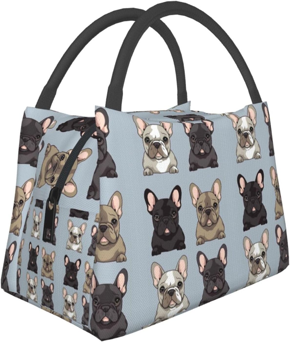 Lonchera para hombres y mujeres, con estampado de bulldog francés, bolsa de almuerzo aislada, reutilizable, portátil