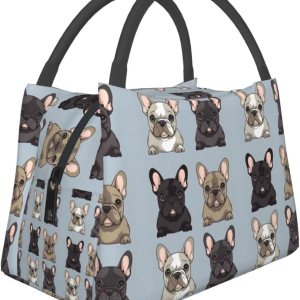 Lonchera para hombres y mujeres, con estampado de bulldog francés, bolsa de almuerzo aislada, reutilizable, portátil Lonchera para hombres y mujeres, con estampado de bulldog francés, bolsa de almuerzo aislada, reutilizable, portátil