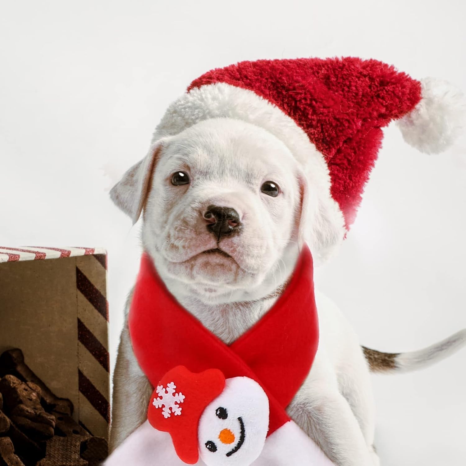 iplusmile 3 juegos de suministros de Navidad para mascotas, bufanda y sombrero para perros, collares para cachorros pequeños, disfraz de Papá Noel,