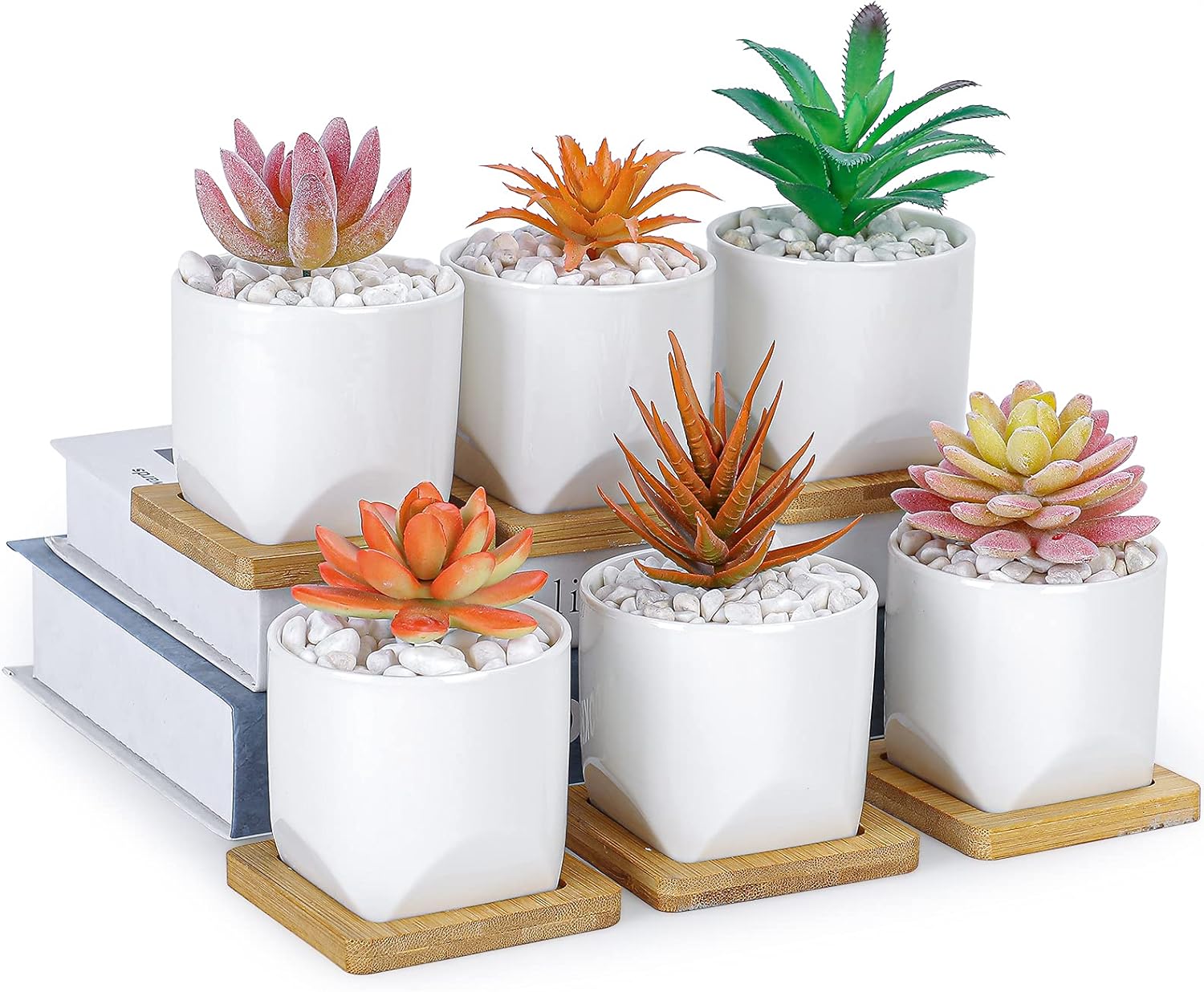 ARTKETTY Macetas para suculentas, macetas pequeñas de 3 pulgadas con bandejas de drenaje, juego de 6, macetas de cerámica para plantas de interior,