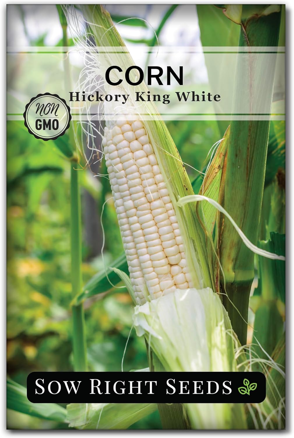 Sow Right Seeds – Colección de semillas de maíz raras para plantar – Variedades de palomitas de maíz, hopi azul y nogal blanco King – Paquetes de