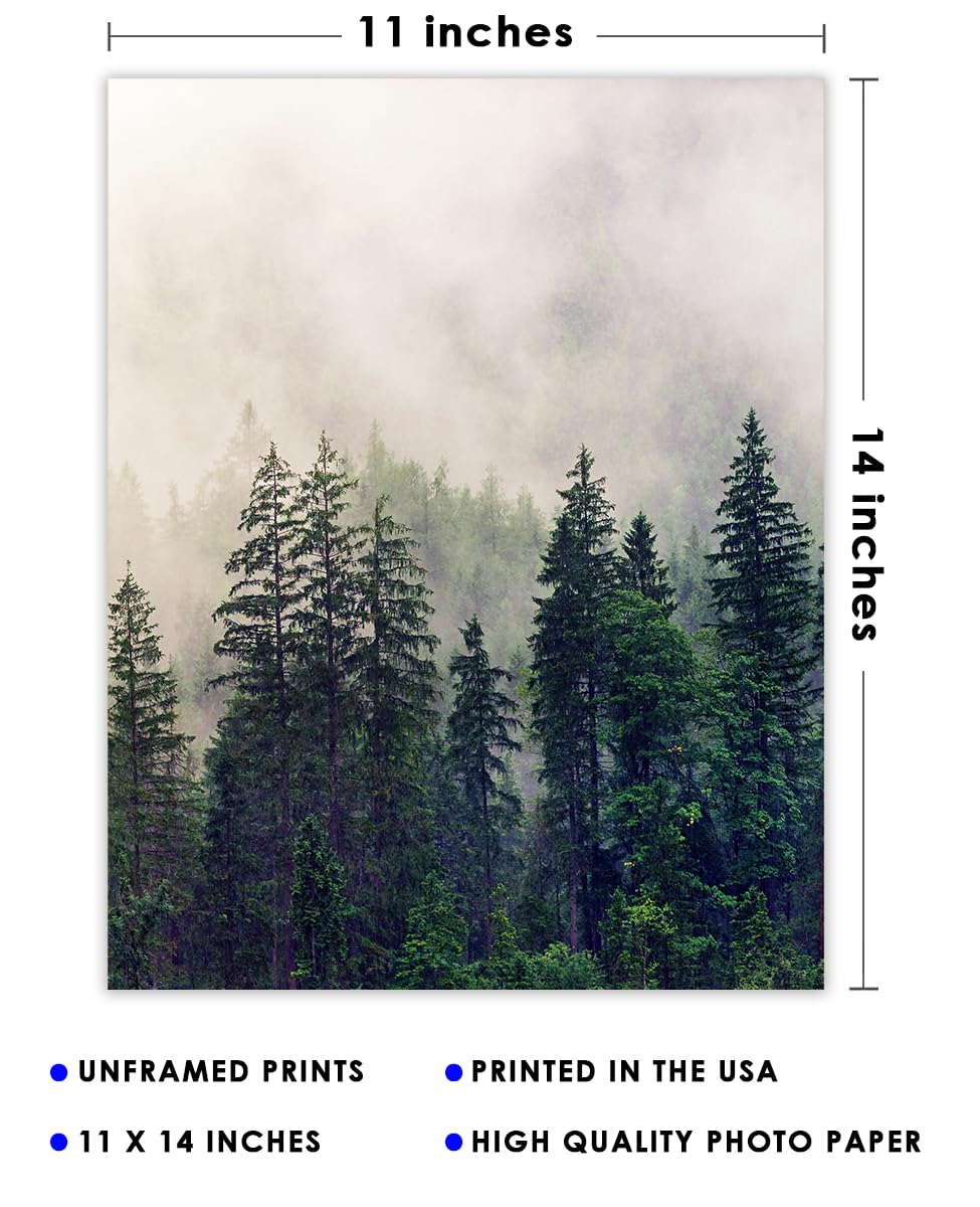 Foggy Forest Abstract Wall Art Minimalist, Aesthetic & Boho Wall Art for Home, Office, Bedroom & Living Room Decor  Unframed Posters 11×14″