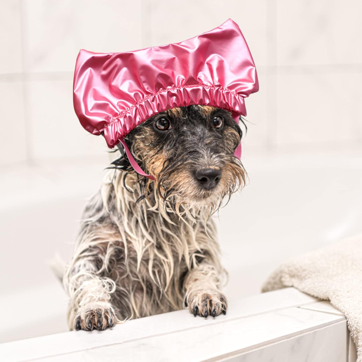 Disfraces de perro para humanos que se ven realmente reales, ducha fija para perros, ducha, baño, gorra S para ducha de mascotas, gorra para