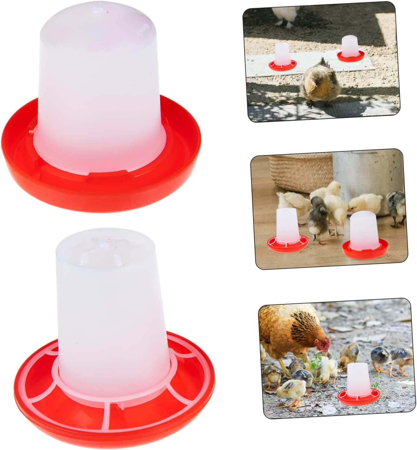 Alimentador de pollitos domésticos, alimentador de codorniz, alimentador de palomas, alimentador de pollitos pequeño, bebedero para aves de corral,