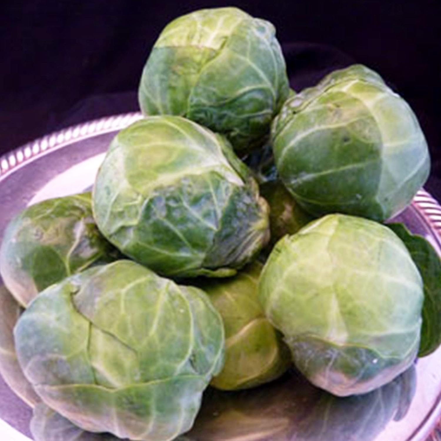 Catskill Brussel Sprouts  1 onza  8,000 semillas  Sin OMG, reliquia, polinizado abierto  Semillas de hortalizas y micro verdes