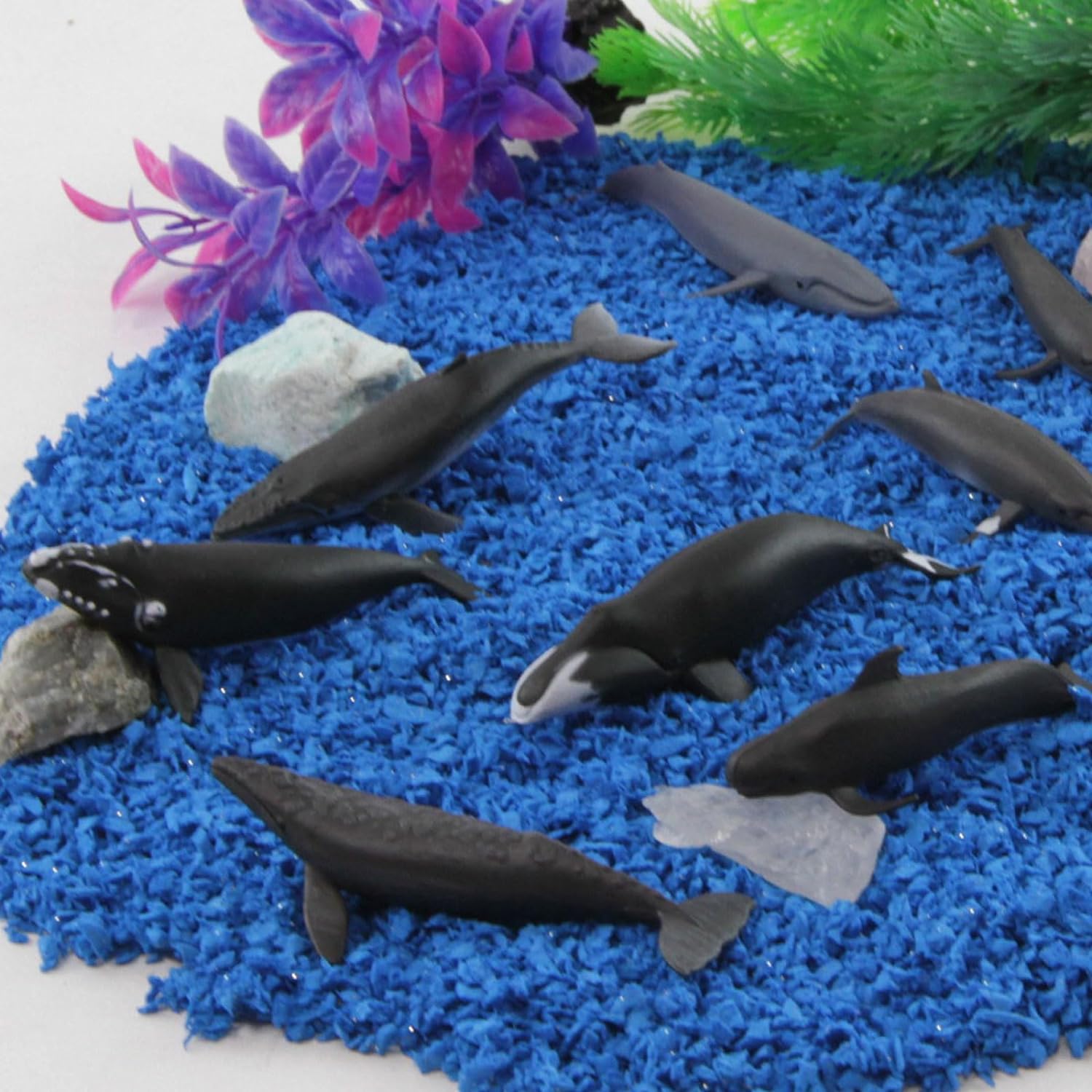 Safari Ltd. Whale TOOB – Juego de figuras detalladas de plástico de 2.5 a 4 pulgadas, divertido juguete educativo de animales oceánicos para niños,