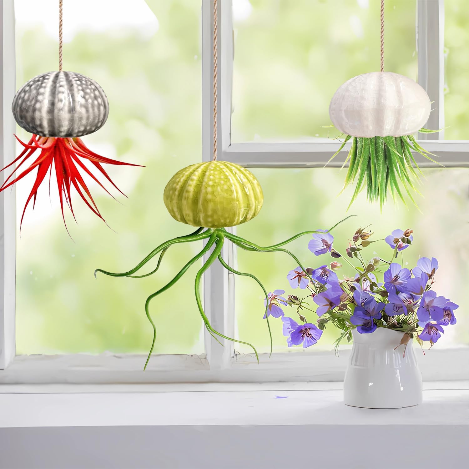 KLS Paquete de 3 soportes colgantes únicos para plantas de aire, de cerámica, para erizo de mar, colgador de plantas de aire para plantas de aire