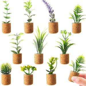 JUSTDOLIFE Imanes de plantas para nevera, mini imanes de suculentas, plantas artificiales, imanes para refrigerador, plantas suculentas en maceta, JUSTDOLIFE Imanes de plantas para nevera, mini imanes de suculentas, plantas artificiales, imanes para refrigerador, plantas suculentas en maceta,