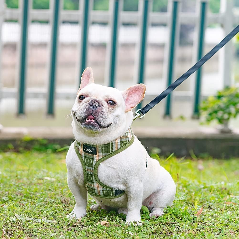 PUPTECK Juego de arnés y correa de malla suave para perro, cachorro y gato, cómodo chaleco acolchado sin tirones, verde oliva, S