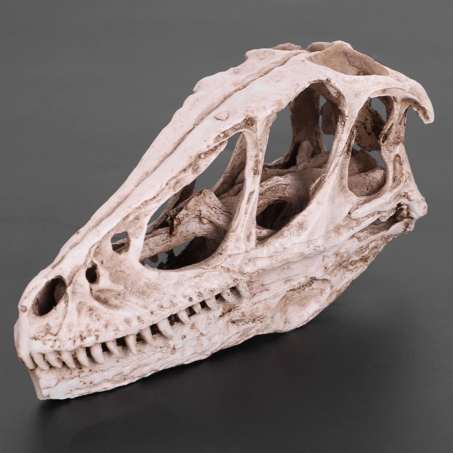TOPINCN Modelo de calavera de dinosaurio, esqueleto de animal simulado, realista y vívido, perfecto para decoración de oficina en casa, accesorio de