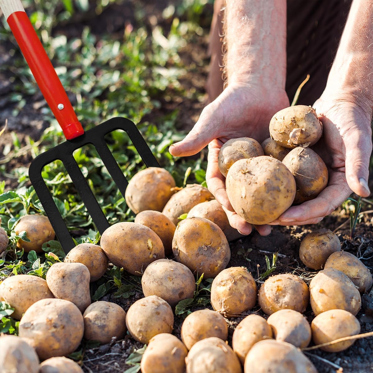 Tenedor de jardín resistente para excavar, tenedor de 4 dientes para abono de jardinería, tenedor de jardín con mango de madera, 45 pulgadas