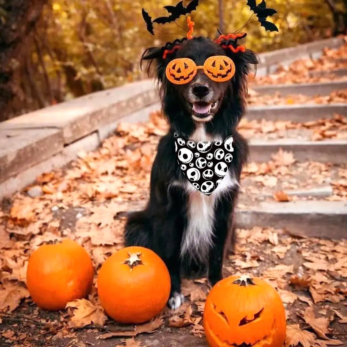 The Nightmare Before Christmas – Bandana para perro de Halloween, Jack Skellington, decoración de cumpleaños, diseño de calavera para mascota,