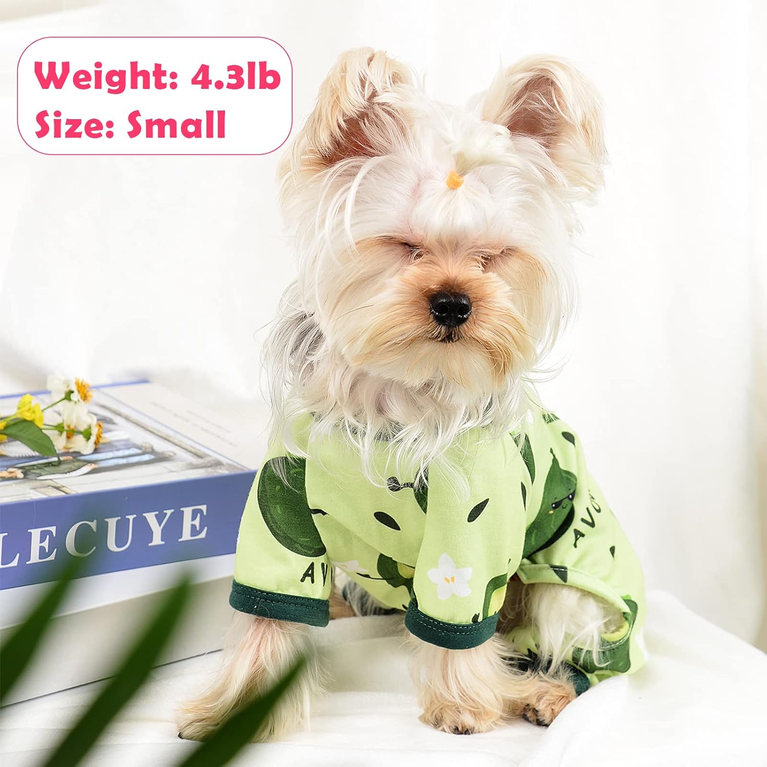 Pijamas para perros, ropa para perros pequeños, hembra, niño, pijamas para perros pequeños y medianos, ropa linda para cachorros, pijamas suaves