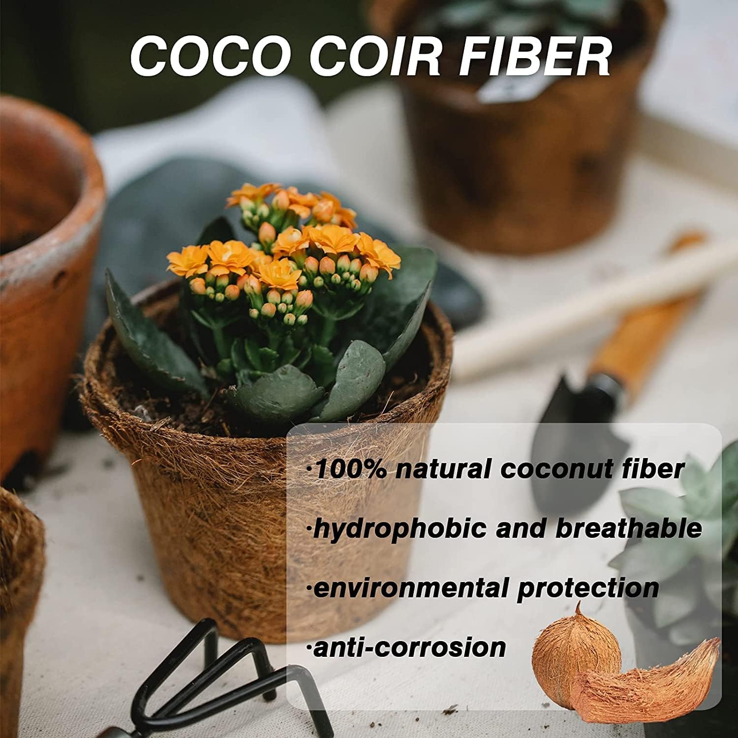 Halatool Paquete de 100 macetas de turba de coco para principiantes, macetas biodegradables para jardín, guardería, kits de germinación de semillas