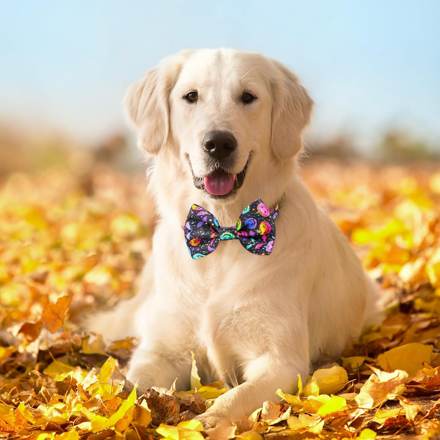 Lindo collar de perro con diseño de calabaza con corbatín para perros lindos machos, gatos, perros, collar de perro para perros pequeños, medianos y