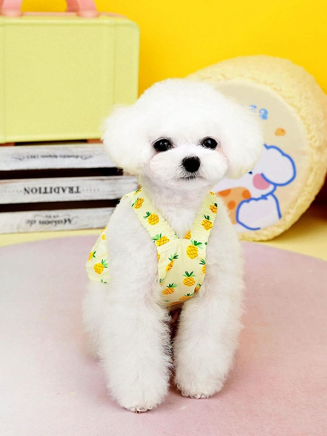 QWINEE Vestidos de princesa para cachorros, ropa para perro, ropa de verano para perritos, preciosa falda sin mangas para perros pequeños, gatos,