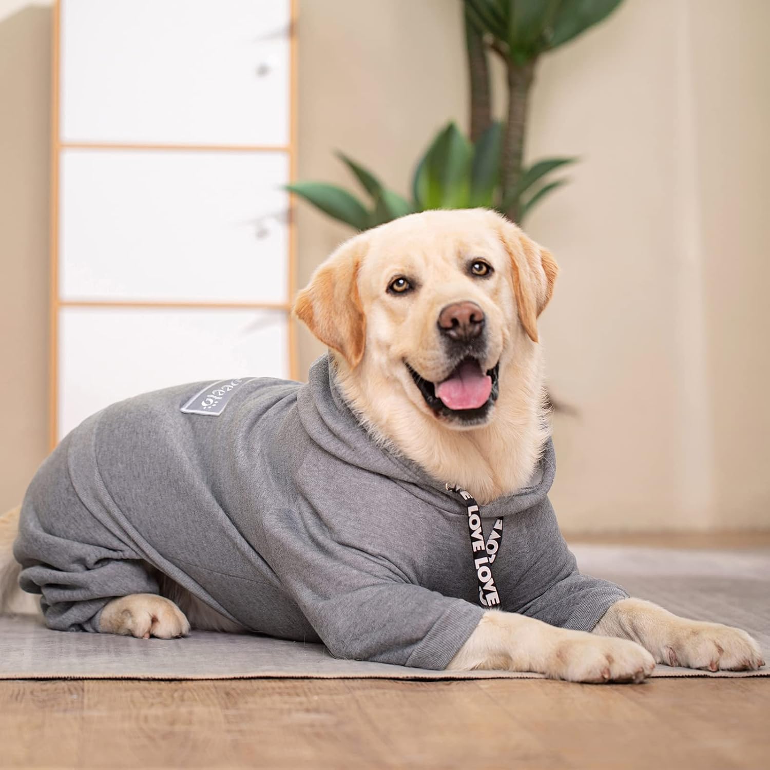 Abrigo de invierno con capucha para perros grandes y medianos, suéter de 4 patas, abrigo cálido con capucha para perro, abrigo de forro polar con