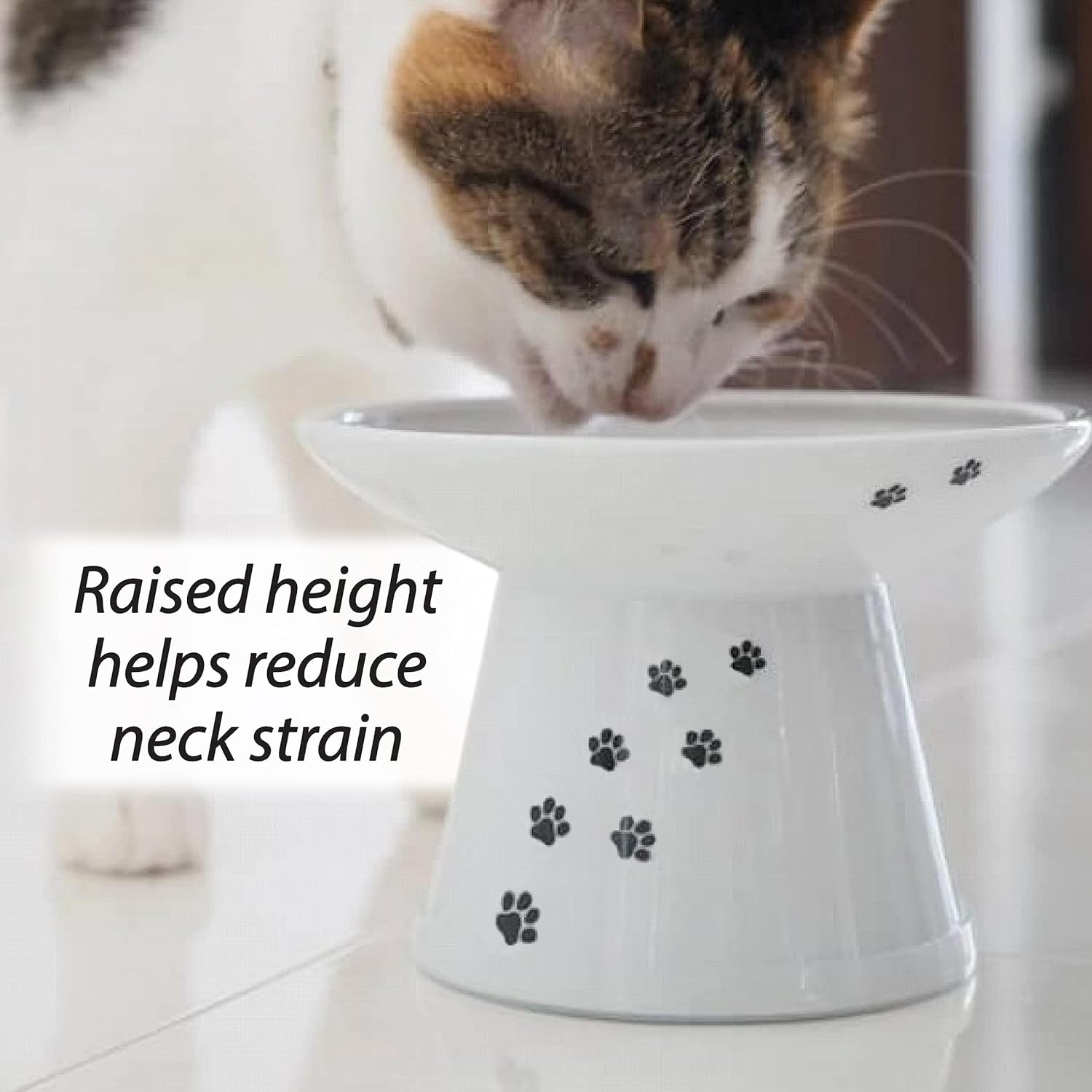 Necoichi Cuenco elevado extra ancho para comida para gatos, elevado, evita la fatiga del cuello y los bigotes, apto para lavavajillas y microondas,