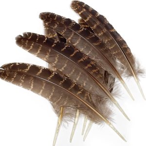 Zamplinka Plumas naturales de pavo de 5 a 7 pulgadas para manualidades de fiesta, decoración de bricolaje por paquete de 10 Zamplinka Plumas naturales de pavo de 5 a 7 pulgadas para manualidades de fiesta, decoración de bricolaje por paquete de 10
