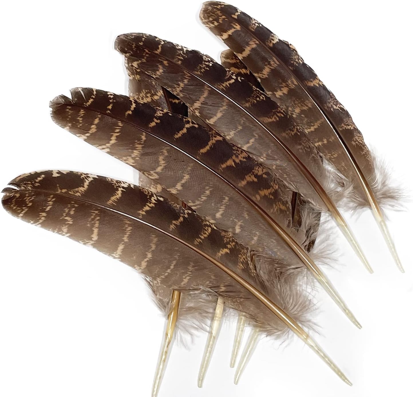 Zamplinka Plumas naturales de pavo de 5 a 7 pulgadas para manualidades de fiesta, decoración de bricolaje por paquete de 10