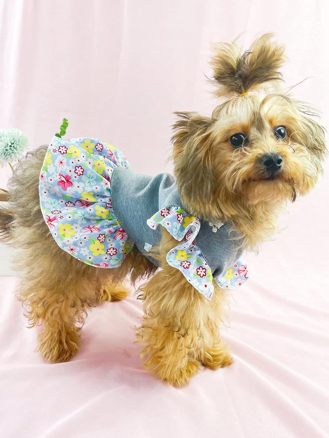 QWINEE Vestido de princesa para perro, gato, estampado floral, decoración de perlas, camisa para cachorro, falda, tutú, fiesta de verano,