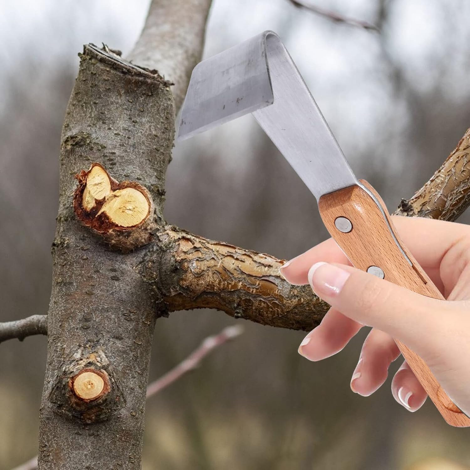 Housoutil Herramientas de mano herramienta de afeitado de corteza de espada de corteza, 2 piezas, pelador de troncos, cortador de injerto de árbol,
