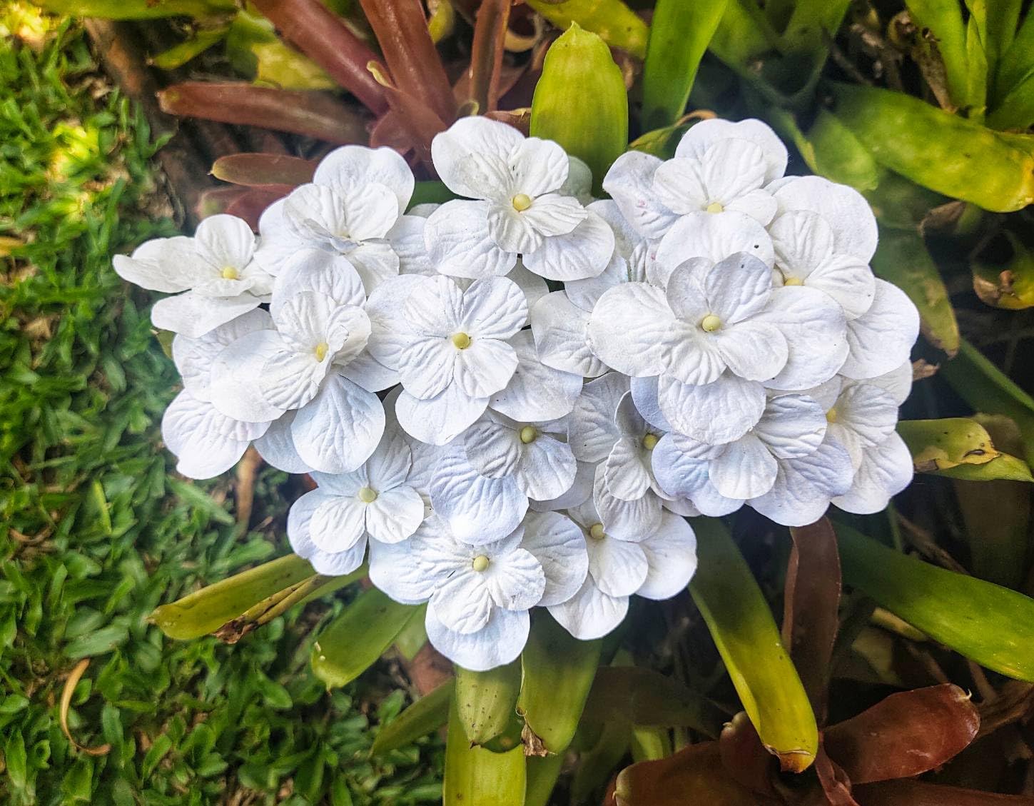 JAKAPAN Flores de hortensias de papel de morera, flores artificiales con tallos de alambre para bodas, fiestas, decoración del hogar, adornos de