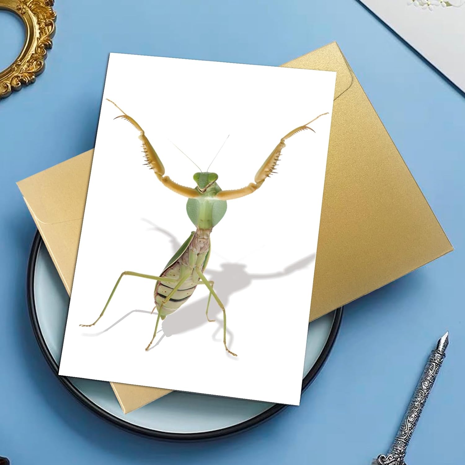 Divertida tarjeta de felicitación de mantis rezando, tarjeta de cumpleaños con arte de Mantis con cable, tarjeta de insectos para niños, amigos,
