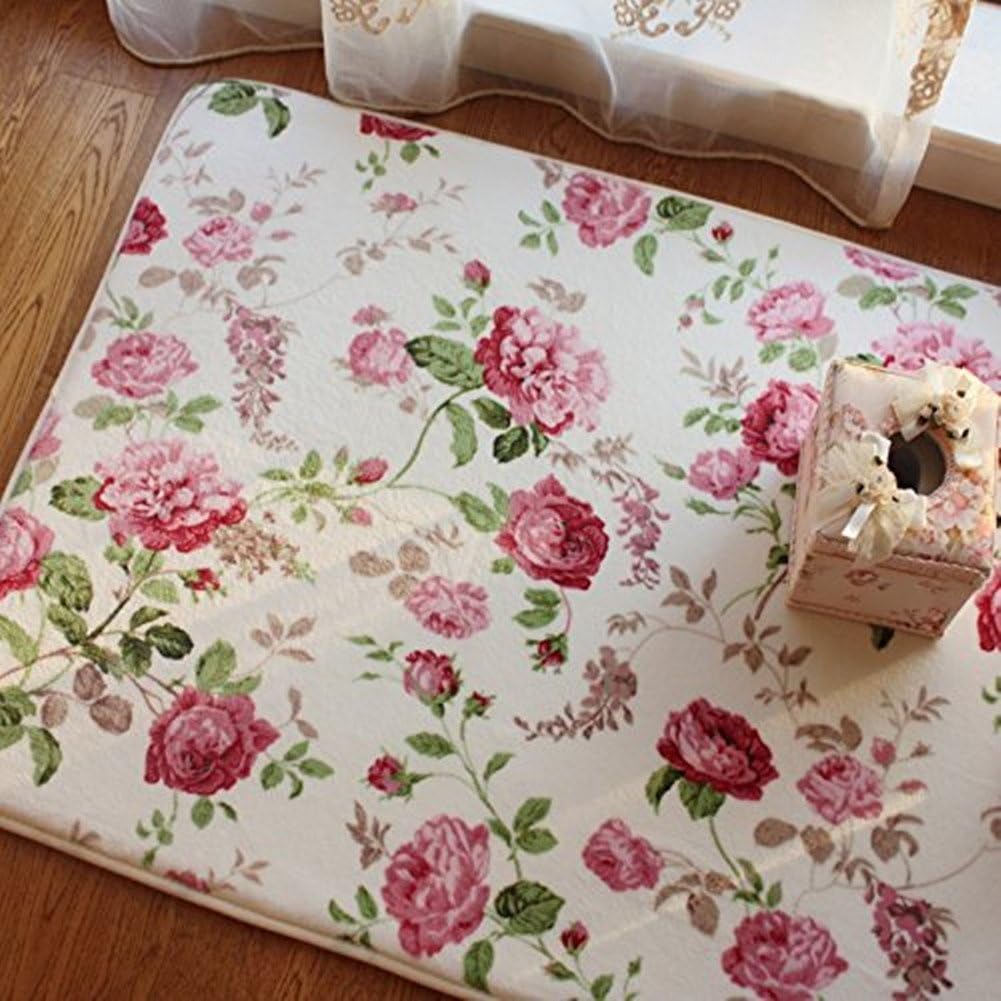 Ukeler Alfombras románticas de estilo campestre americano con estampado de rosas rosas para sala de estar, 39.3 x 59 pulgadas