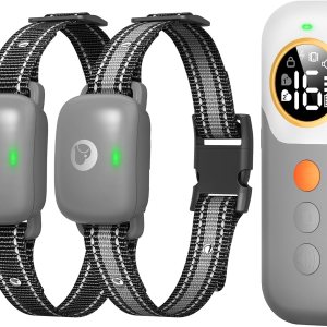 Collar eléctrico de entrenamiento para perros con control remoto de 1640 pies para 2 perros, E-Shock, bloqueo de seguridad con 3 modos de Collar eléctrico de entrenamiento para perros con control remoto de 1640 pies para 2 perros, E-Shock, bloqueo de seguridad con 3 modos de