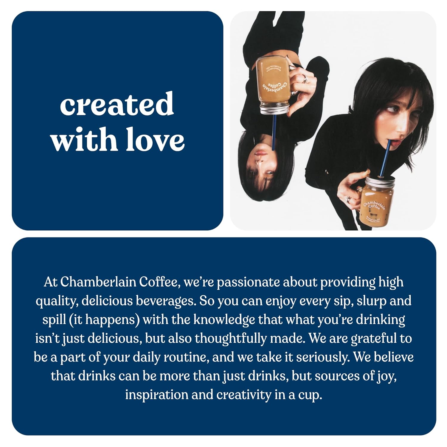 Chamberlain Coffee Witty Fox Mezcla de avellana, grano entero, café orgánico, 12 onzas
