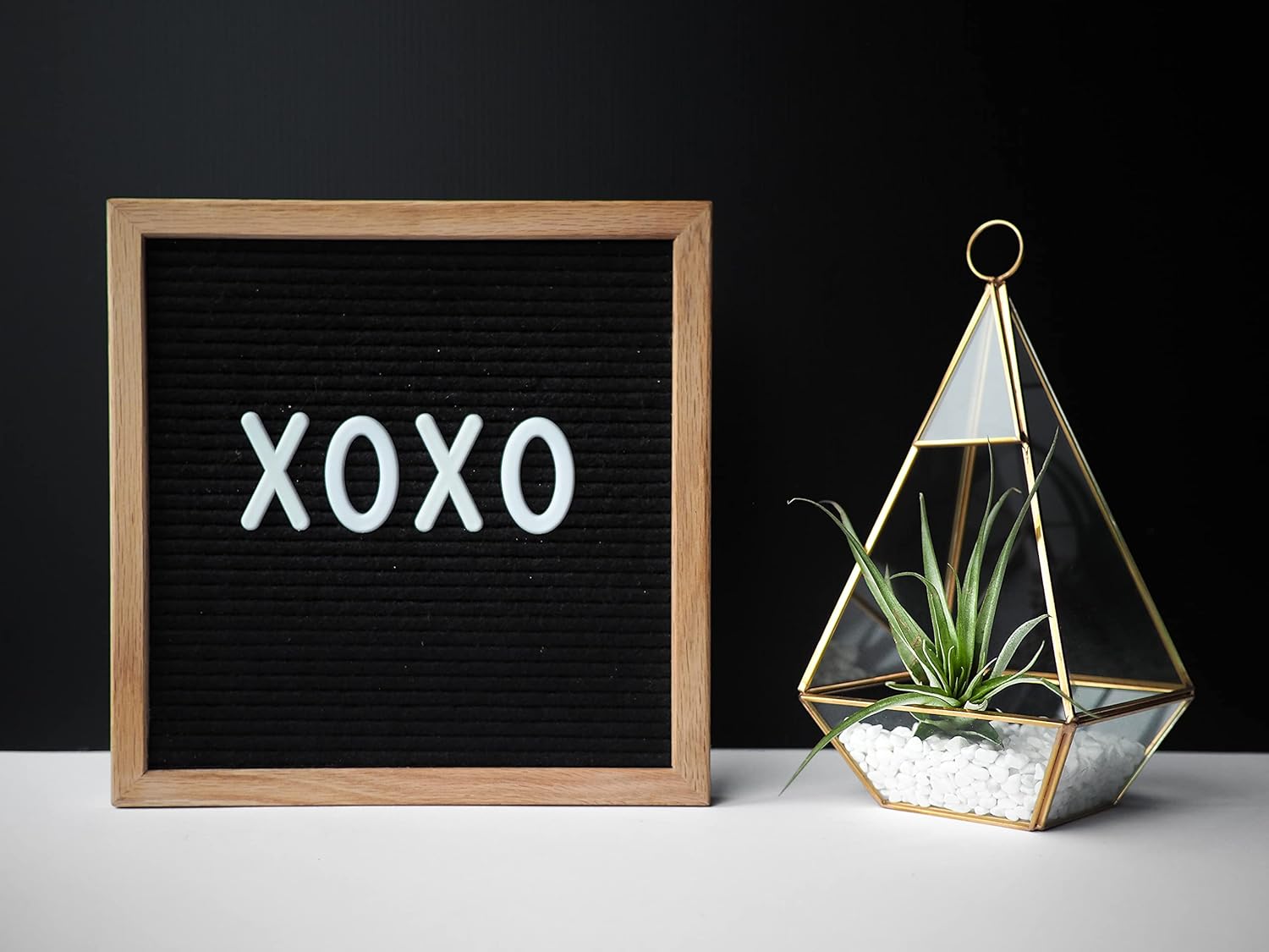 Shop Suculents – Plantas seleccionadas a mano, variedad de especies, plantas de interior tropicales para decoración del hogar y terrarios