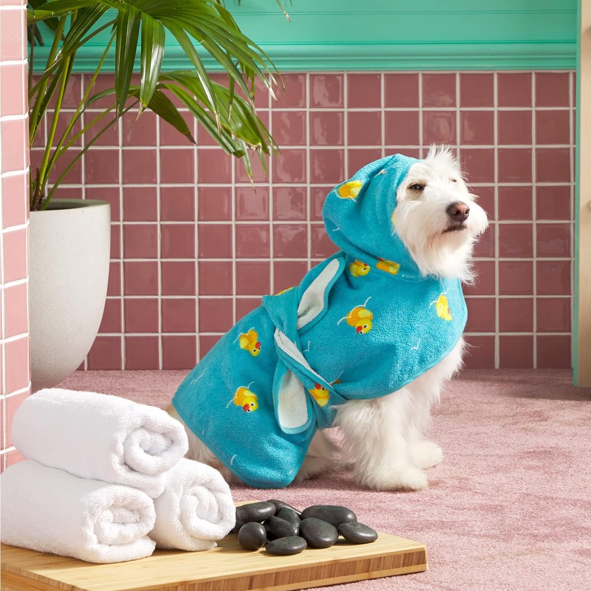 Barkbox Bata absorbente de alta calidad con capucha para perro, toalla de secado rápido para mascotas para viajes de baño y playa, toalla de baño