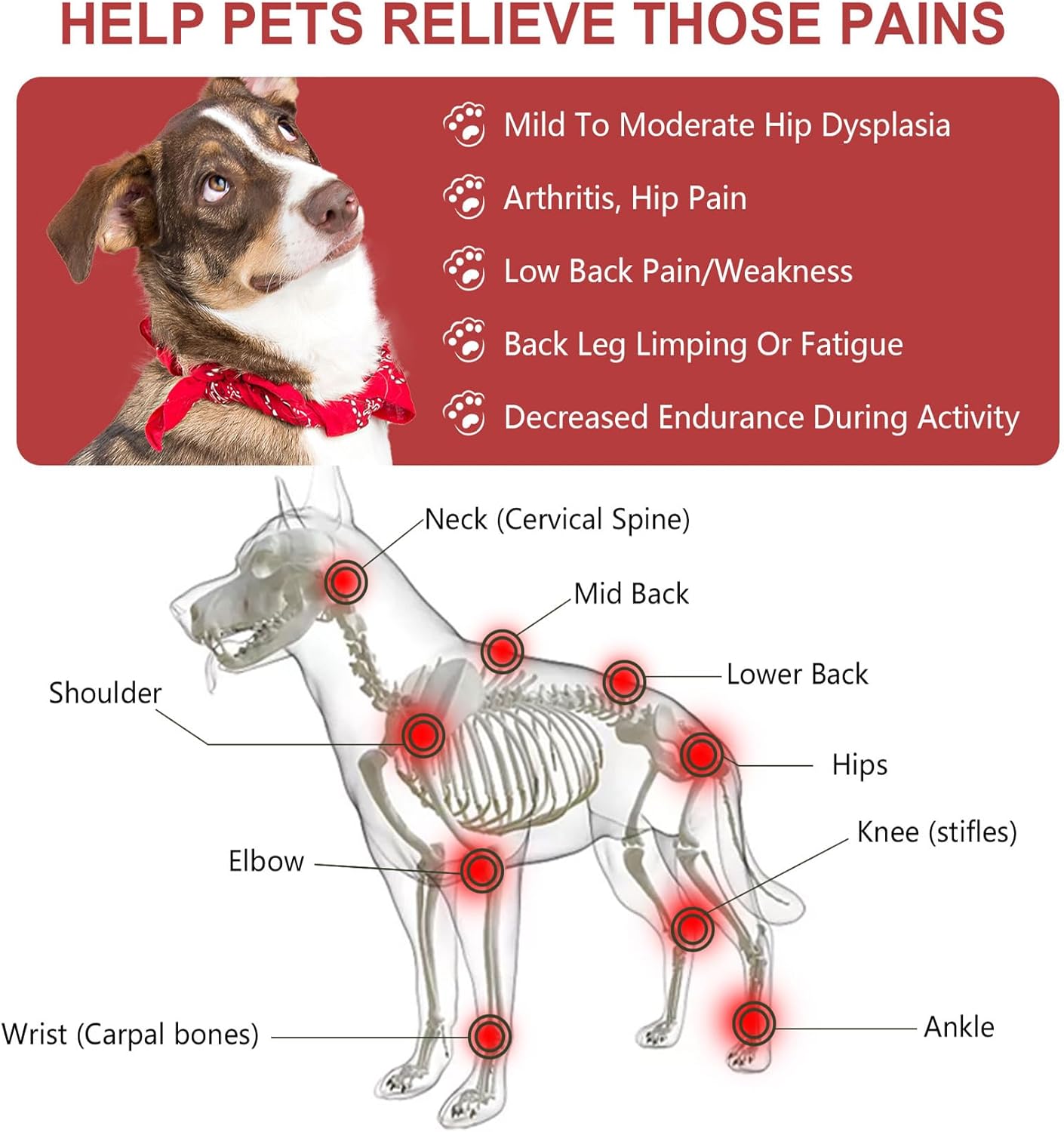 iKeener Dispositivo de terapia con láser frío para perros y seres humanos, terapia de luz roja para perros, terapia láser para mascotas con 128